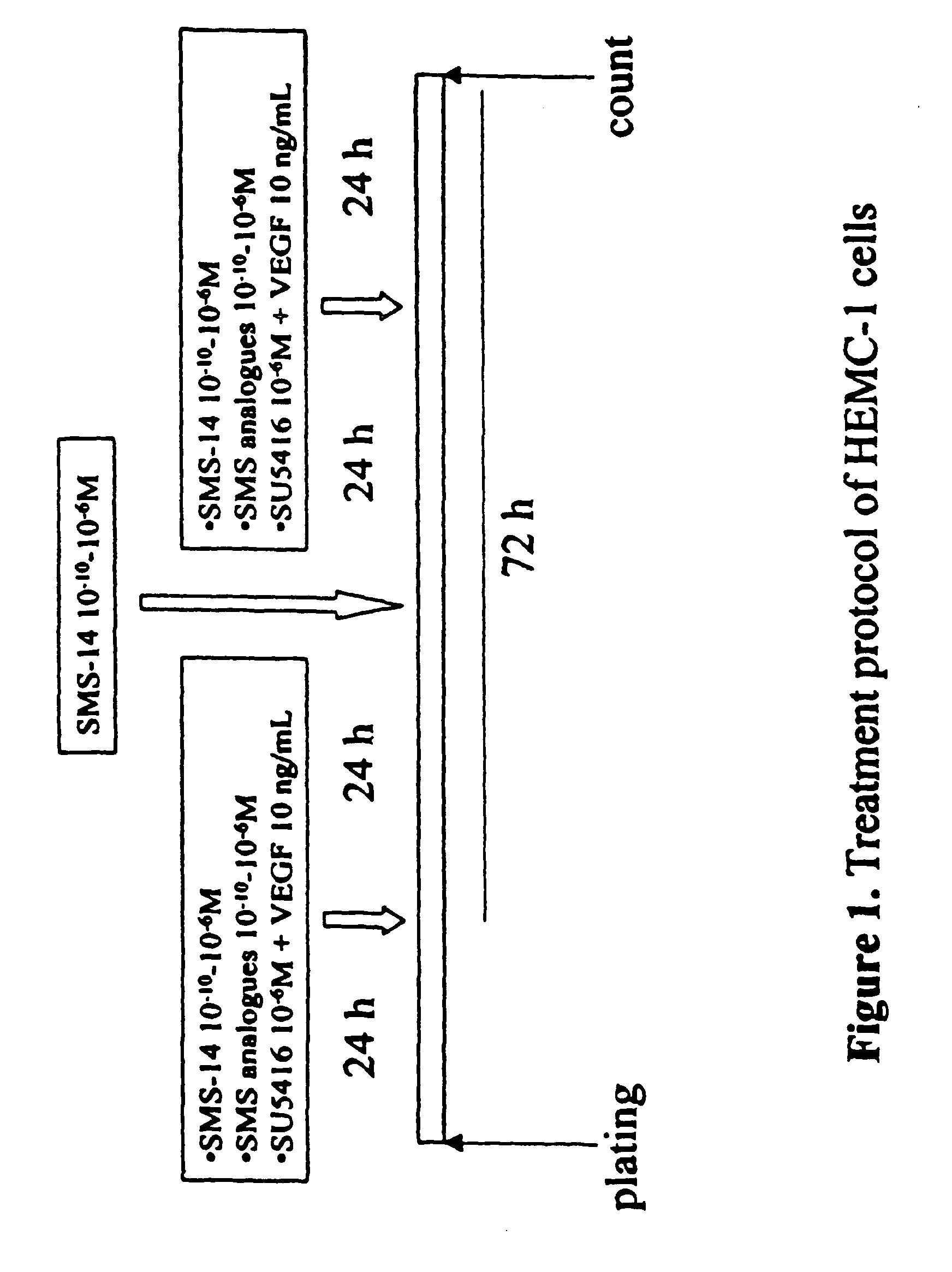 Pharmaceutical compositions which inhibit vascular proliferation and method of use thereof