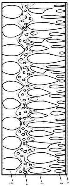 A kind of fluorine-containing polyurethane porous membrane