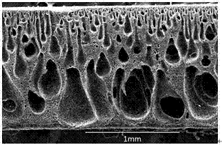 A kind of fluorine-containing polyurethane porous membrane