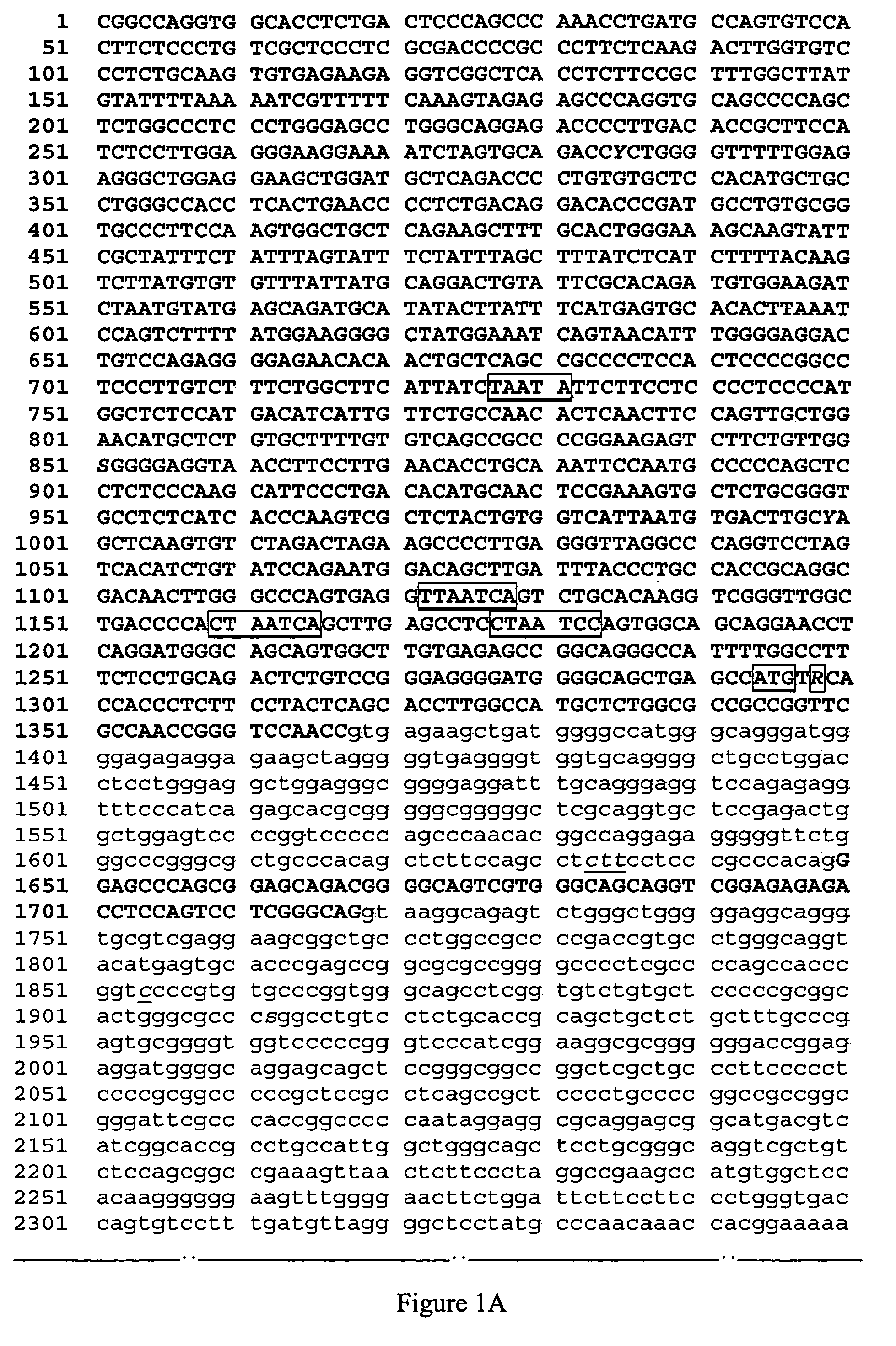 Identification of the gene and mutation responsible for progressive rod-cone degeneration in dog and a method for testing same