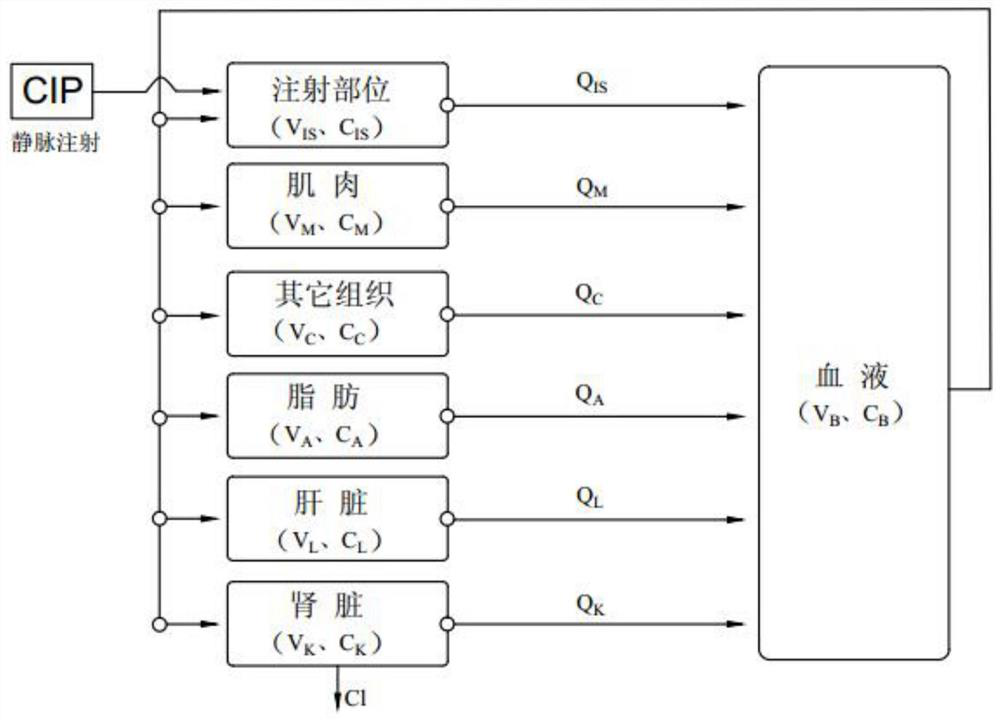 A method for predicting ciprofloxacin residues in pigs by a physiological pharmacokinetic model