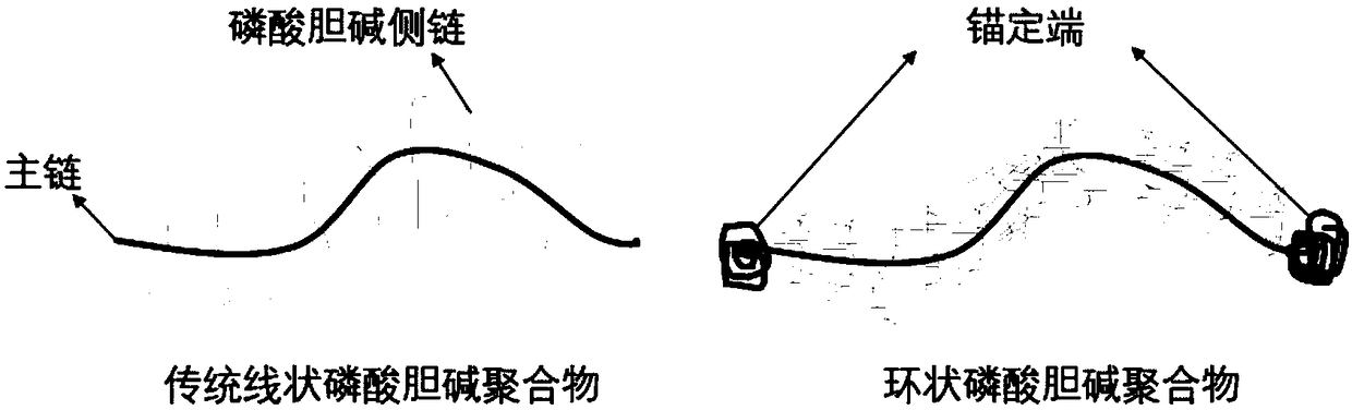 Preparation method and application of silicon dioxide surface modified by cyclic choline phosphate polymer