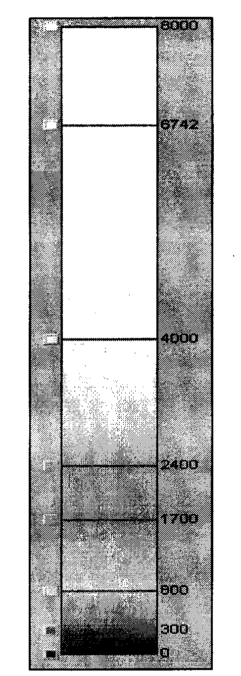 Method and system for three-dimensional terrain modeling