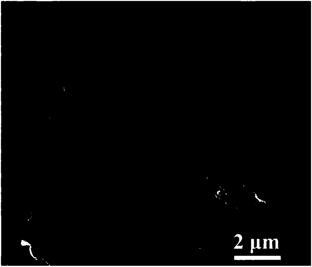 Preparation method of alpha-FeOOH nanorod-loading porous charcoal composite material