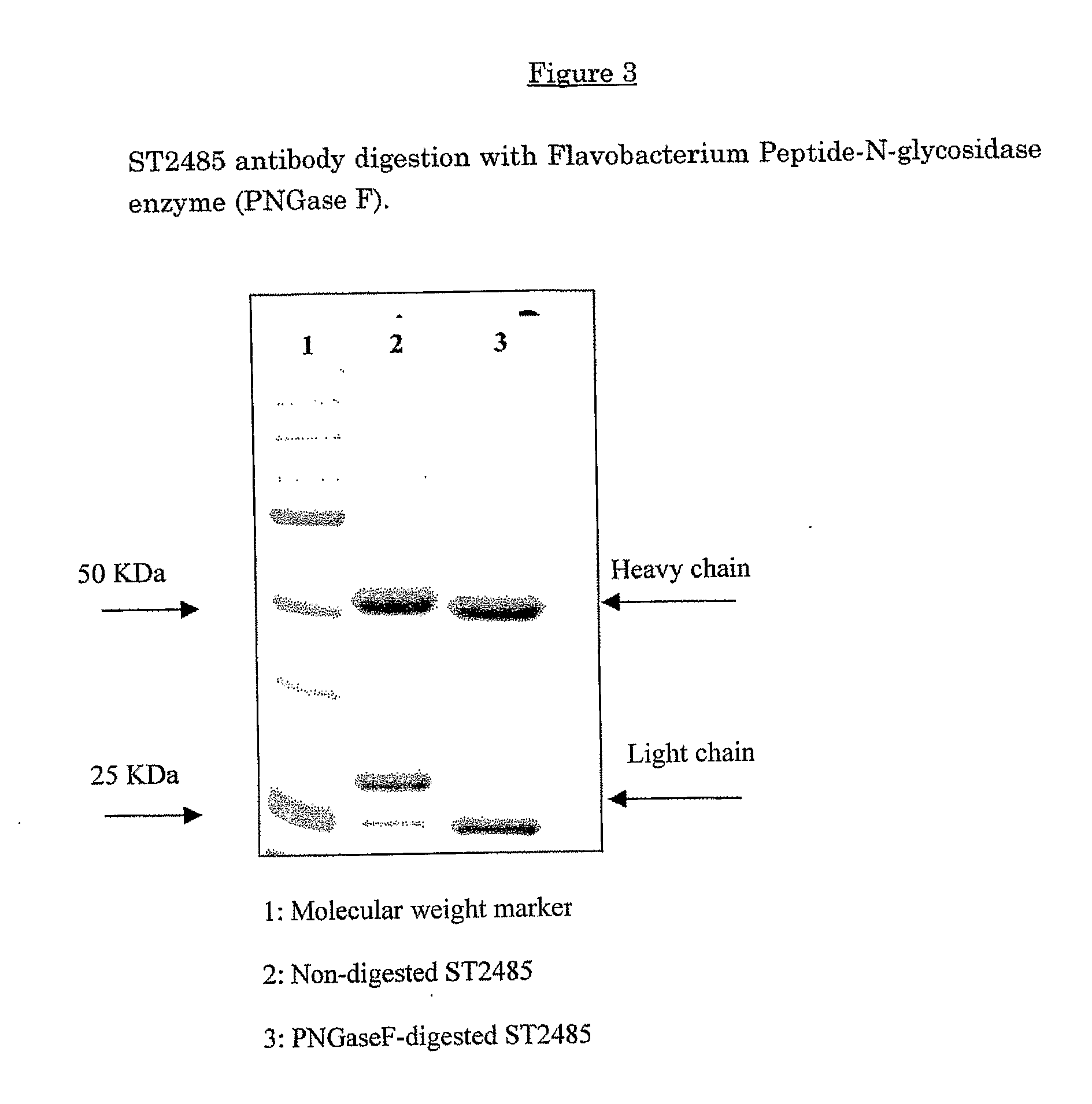 Anti-human tenascin monoclonal antibody