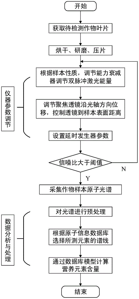 Rapid detection method of crop nutrient elements based on collinear laser-induced breakdown spectroscopy