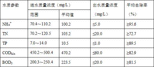 A Tidal Flow Constructed Wetland Substrate Filler for Advanced Treatment of Rural Domestic Sewage