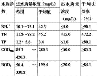 A Tidal Flow Constructed Wetland Substrate Filler for Advanced Treatment of Rural Domestic Sewage