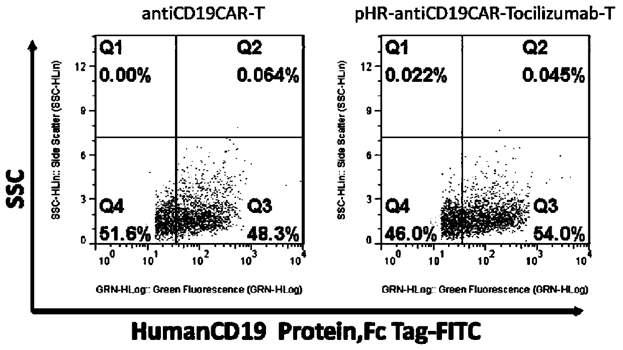 Chimeric antigen receptor T cell expressing IL-6R blocking antibody and targeting CD19, preparation method and application of T cell
