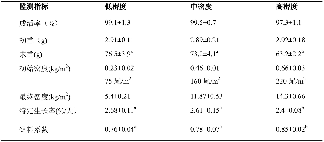 Scophthalmus maximus circulating water three-stage breeding method