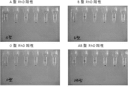 Antibody reagent preserving fluid