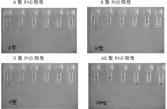 Antibody reagent preserving fluid