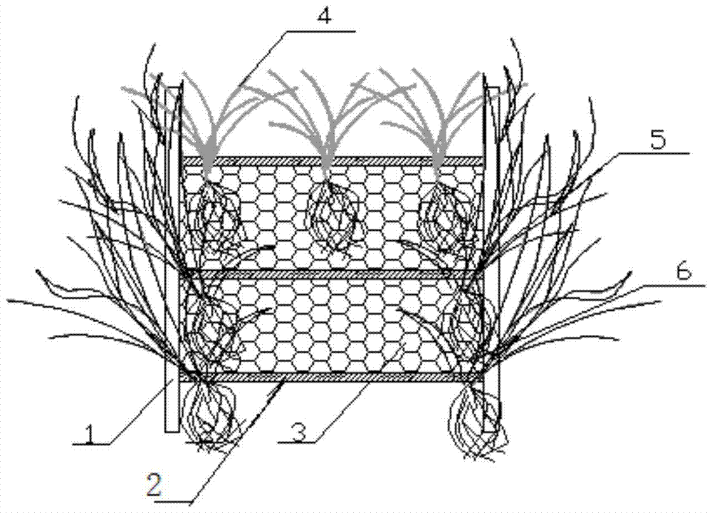 A composite shallow superposition plant growth module and its application