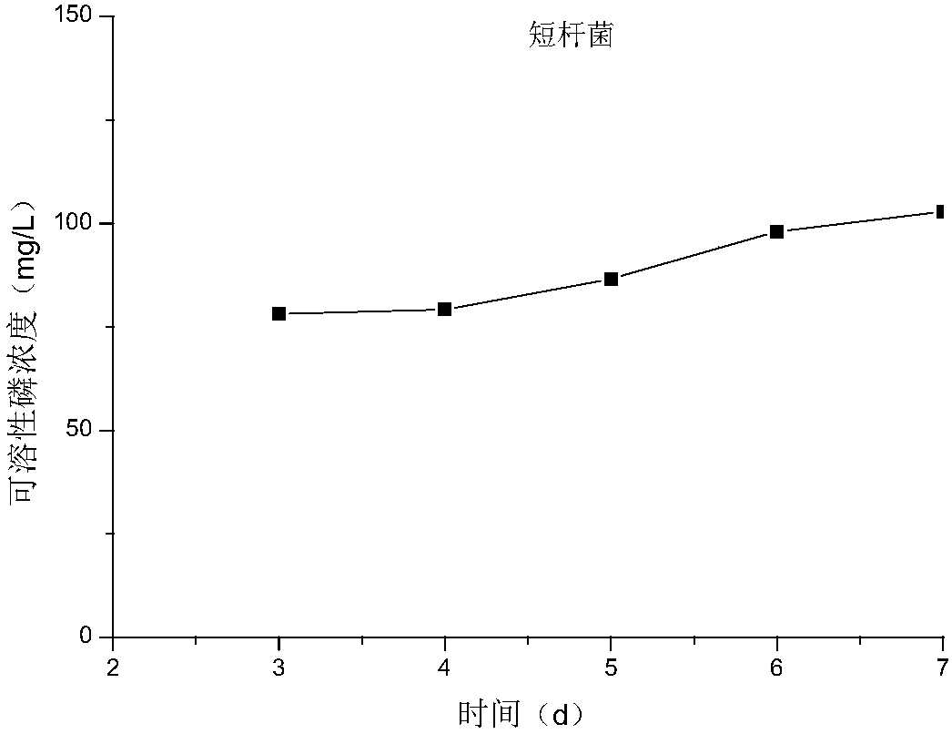 Brevibacterium strain and method for in-situ remediation of heavy metal polluted farmland using same