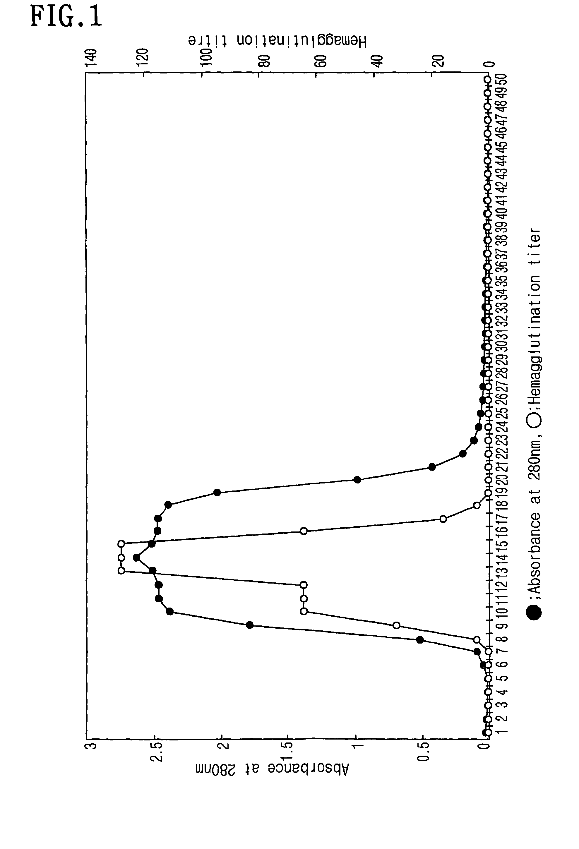 Lectin protein prepared from <i>Maackia fauriei</i>, process for preparing the same and the use thereof