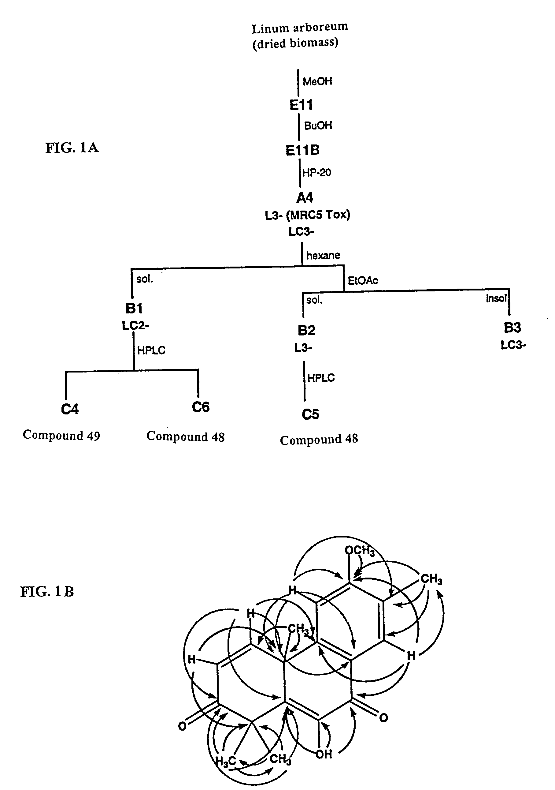 Diterpenoid compounds, compositions thereof and their use as anti-cancer or anti-fungal agents