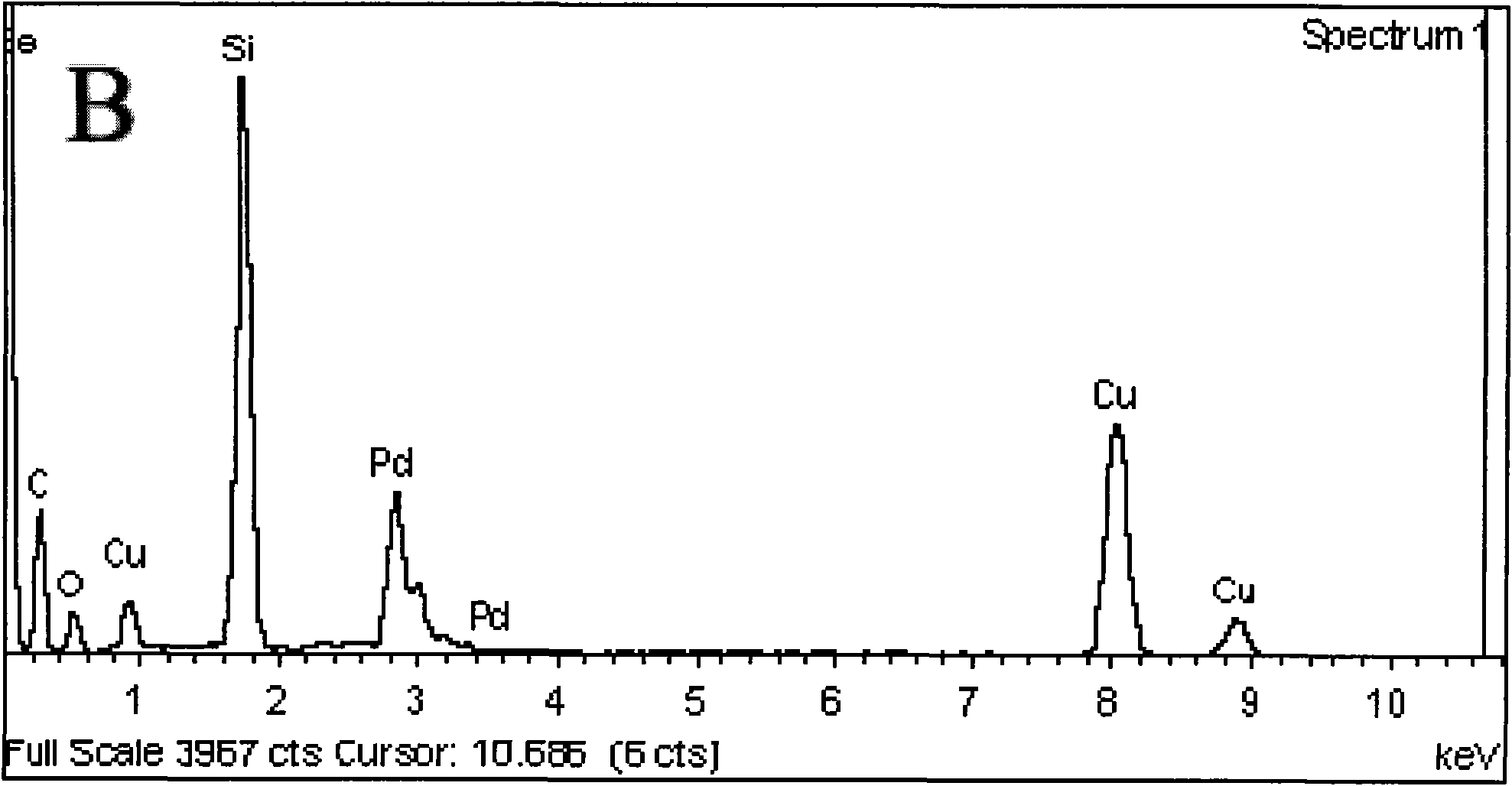 Palladium nanoparticle catalyst and preparation method as well as application thereof