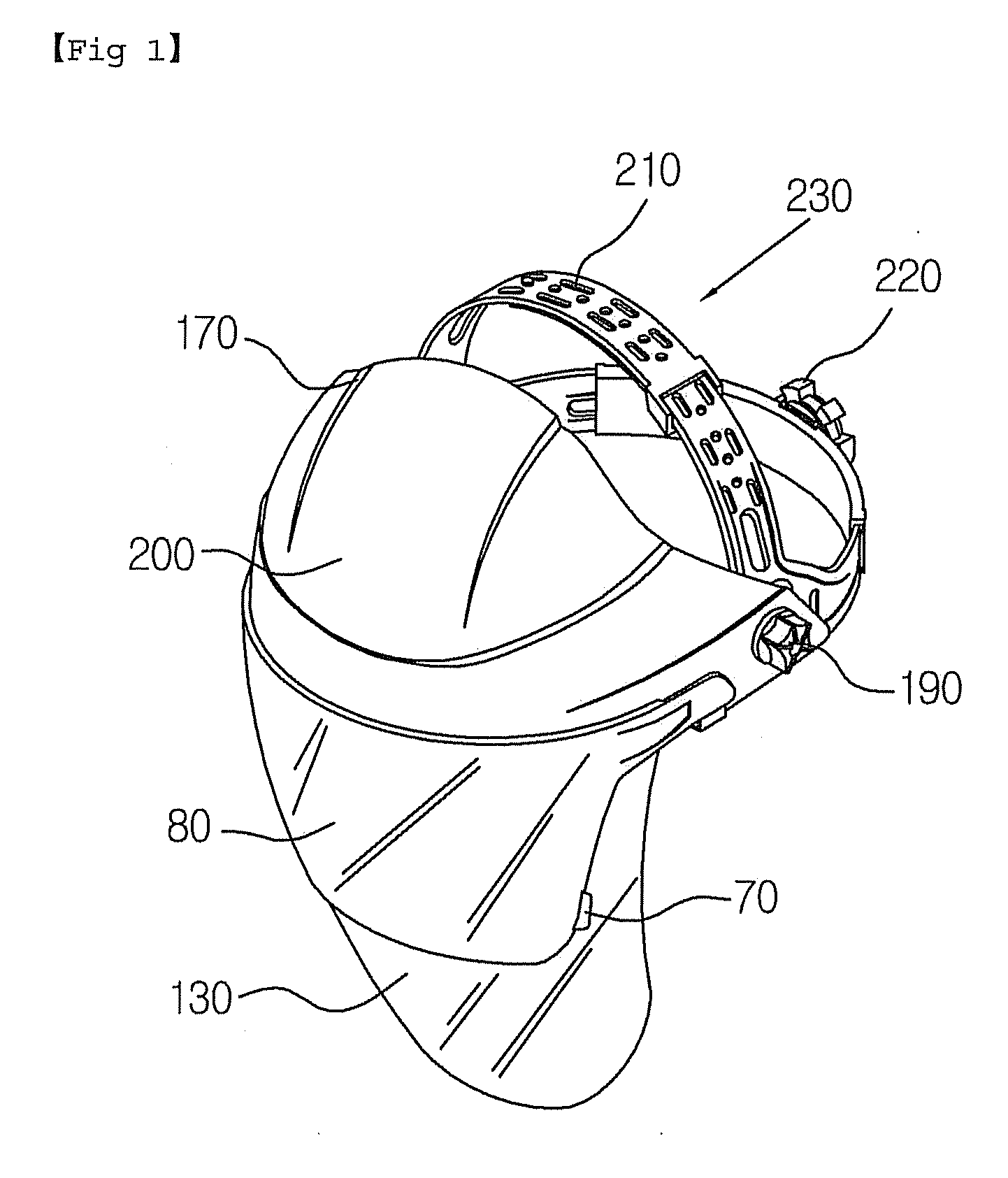 Multi-function face protector