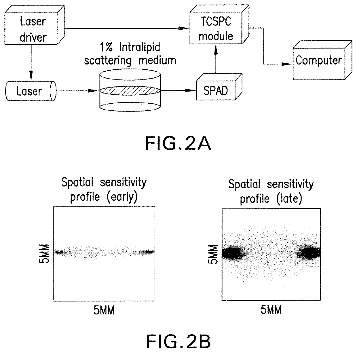Apparatus and method for enhanced early photon detection in optical projection tomography