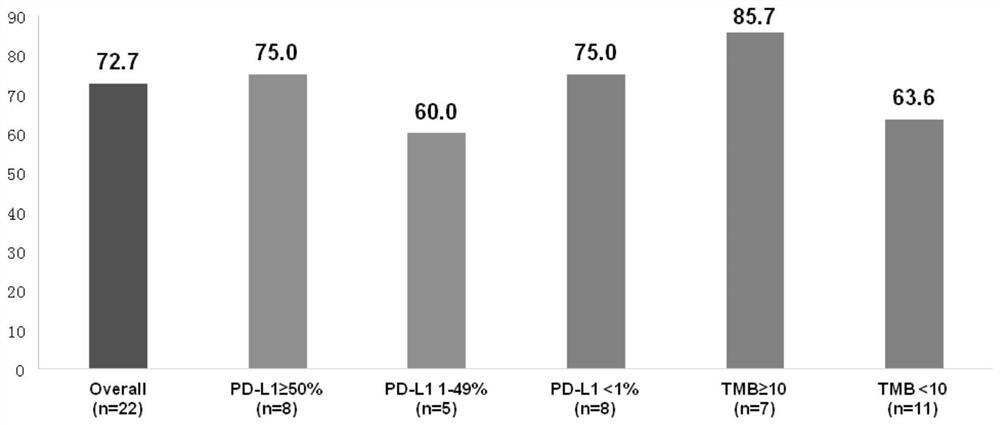 Synergistic combined medicine for treating advanced lung cancer by combining anlotinib with immune checkpoint inhibitor