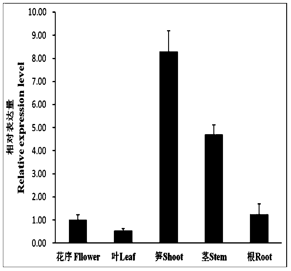 Cloning and application of a key gene peirx10 for xylan synthesis of moso bamboo