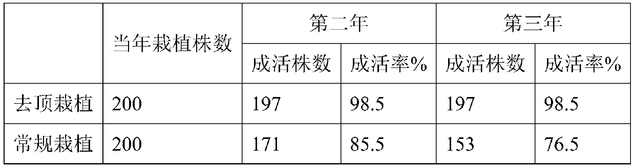 Method for improving survival rate of gleditsia sinensis in saline-alkali soil