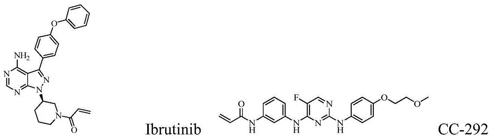 Optical isomers used as tyrosine kinase inhibitors