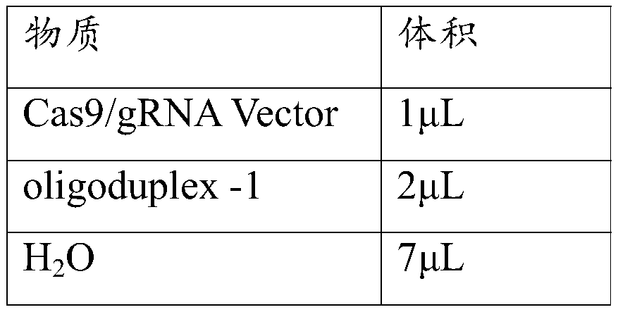 Complete set of sgRNA for specifically recognizing pig Wip1 gene as well as application thereof and product