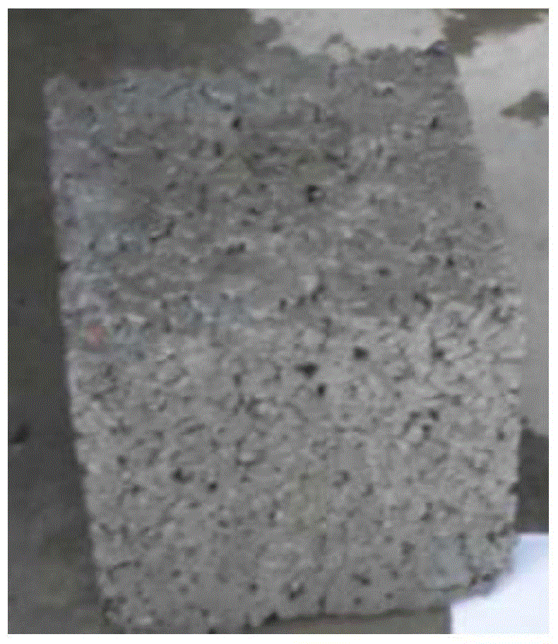 Underwater anti-dispersion large particle size porous concrete and preparation method thereof