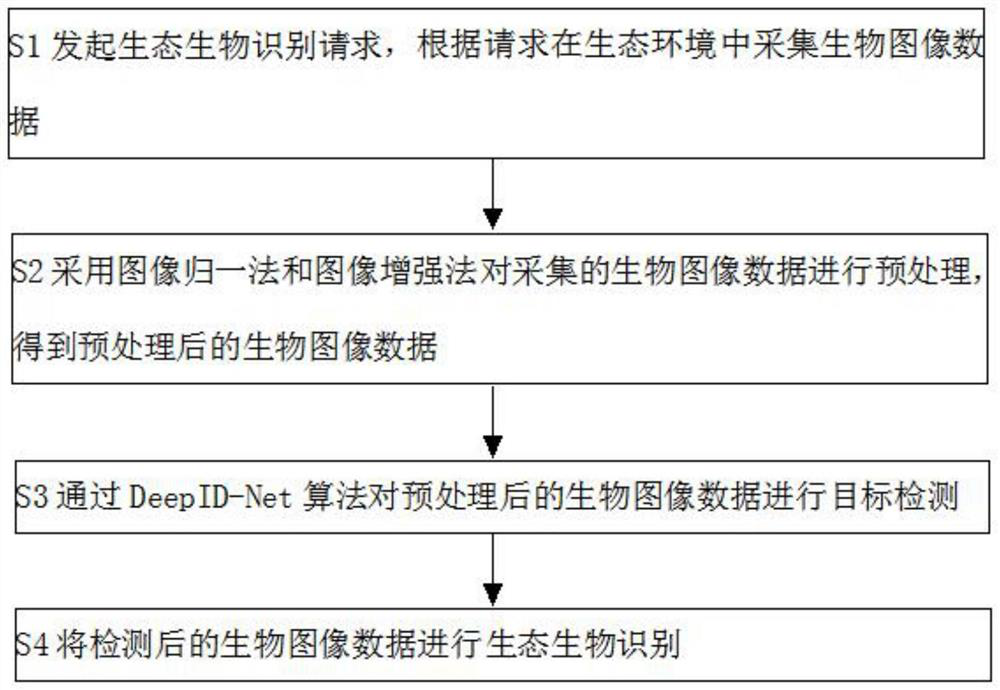 Ecological biological recognition method based on DeepID-Net algorithm