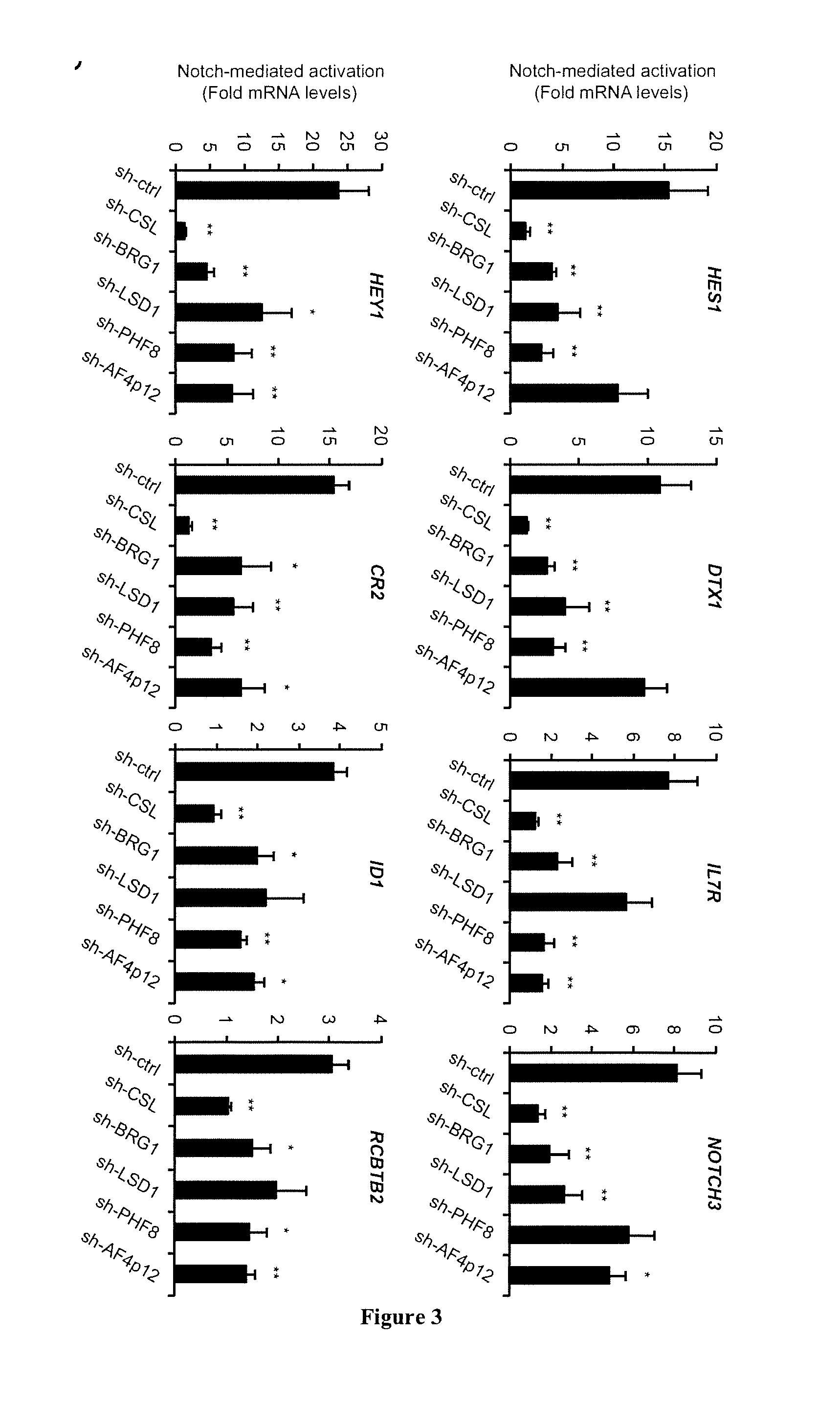 Method for Screening a Compound Capable of Inhibiting the Notch1 Transcriptional Activity