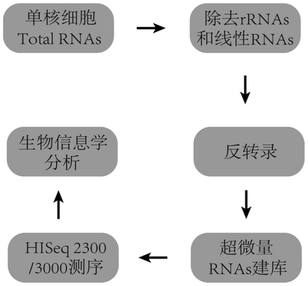 Application of hsa_circCNOT6_008 in diagnosis of steroid-induced femoral head necrosis