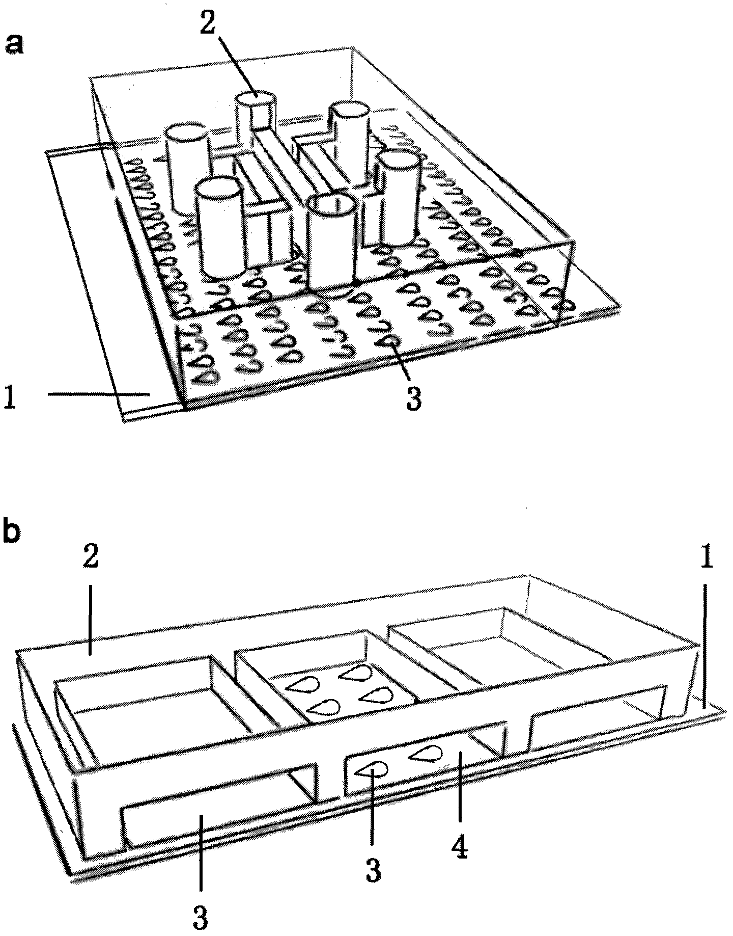 Device for patterning cocultivation of multiple cells, preparation method and use thereof