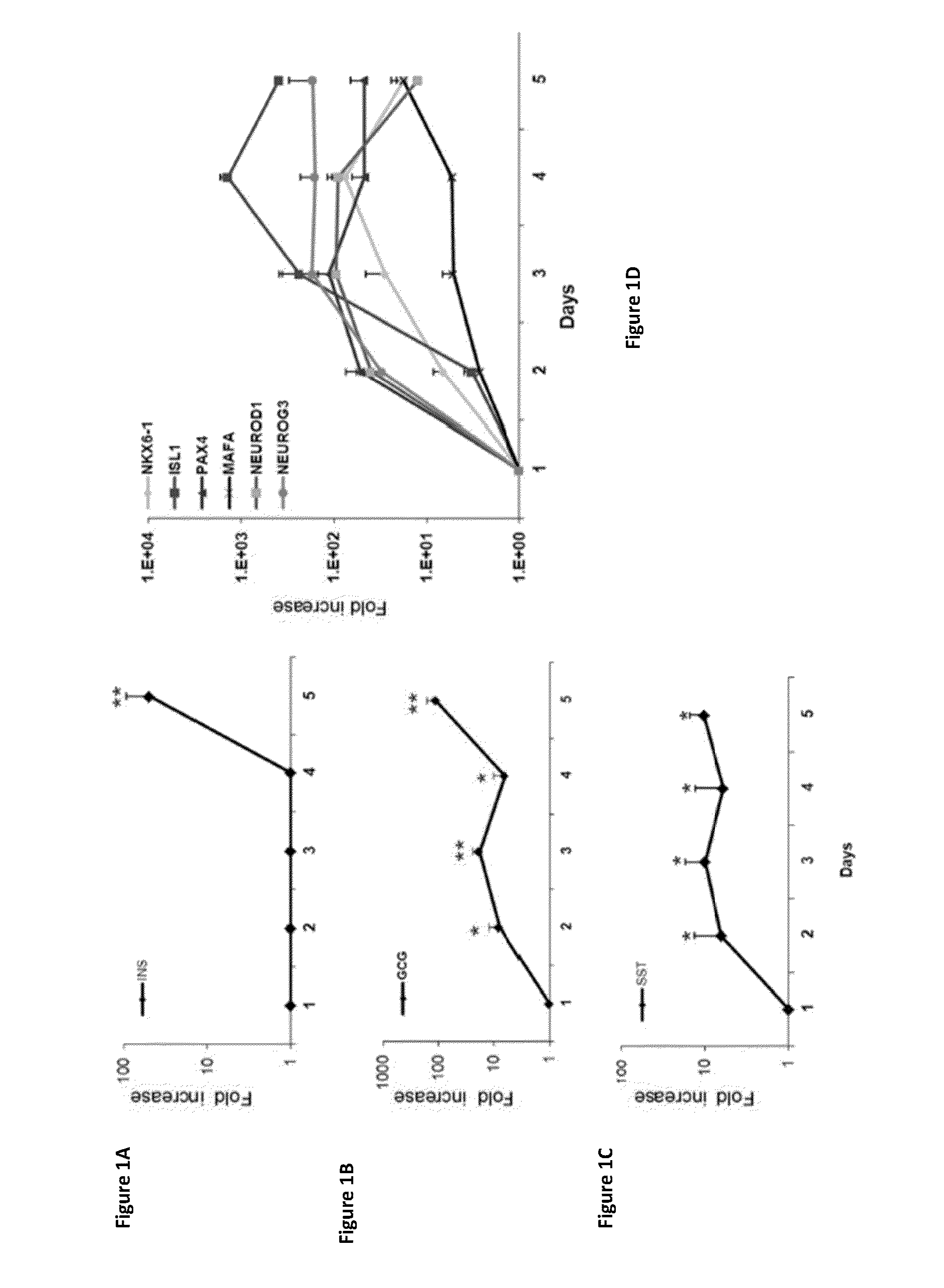 Methods of transdifferentiation and methods of use thereof