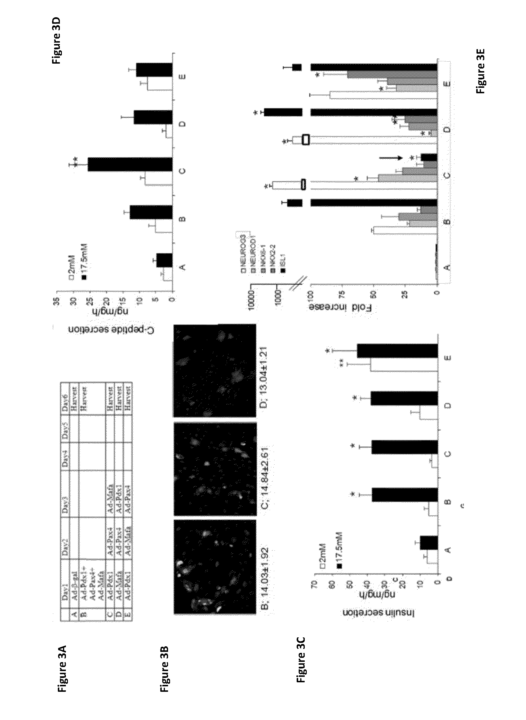 Methods of transdifferentiation and methods of use thereof