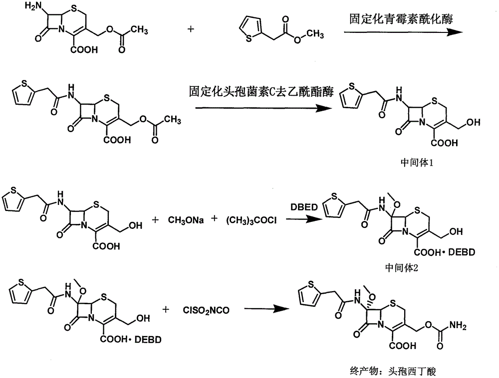 A kind of synthetic technology of cefoxitin