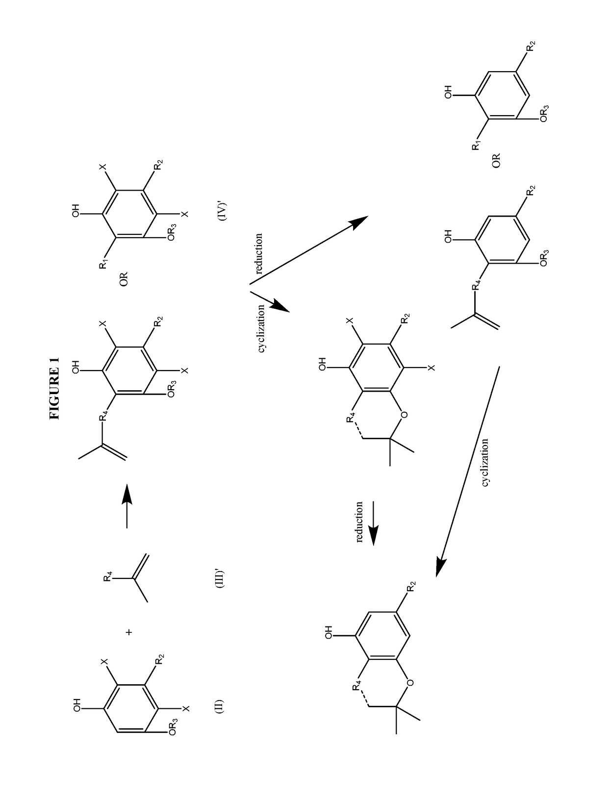 Process for the production of cannabidiol and delta-9-tetrahydrocannabinol