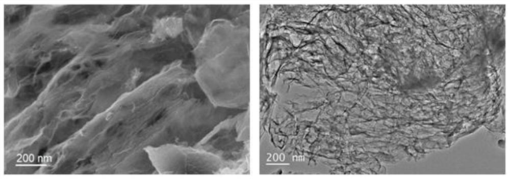 Nitrogen-doped carbon nanosheet, preparation method and application thereof