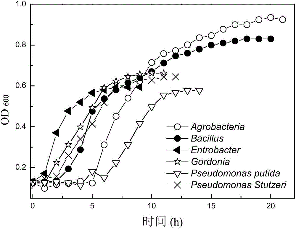 A kind of composite bacterial flora for degrading lignin wastewater and its preparation method