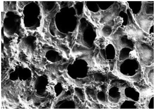 A preparation method of uniformly dispersed photocatalytic hydrogel