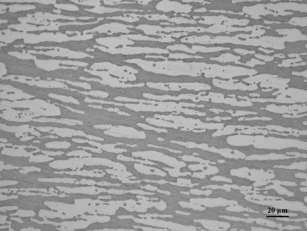 Nickel-saving type double-phase stainless steel and preparation process thereof