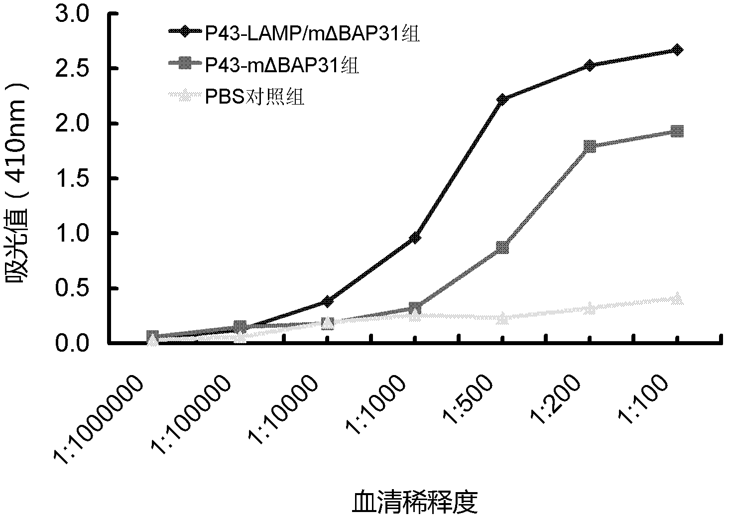 LAMP-oriented BAP31 vaccine vector capable of inducing immune response and application thereof