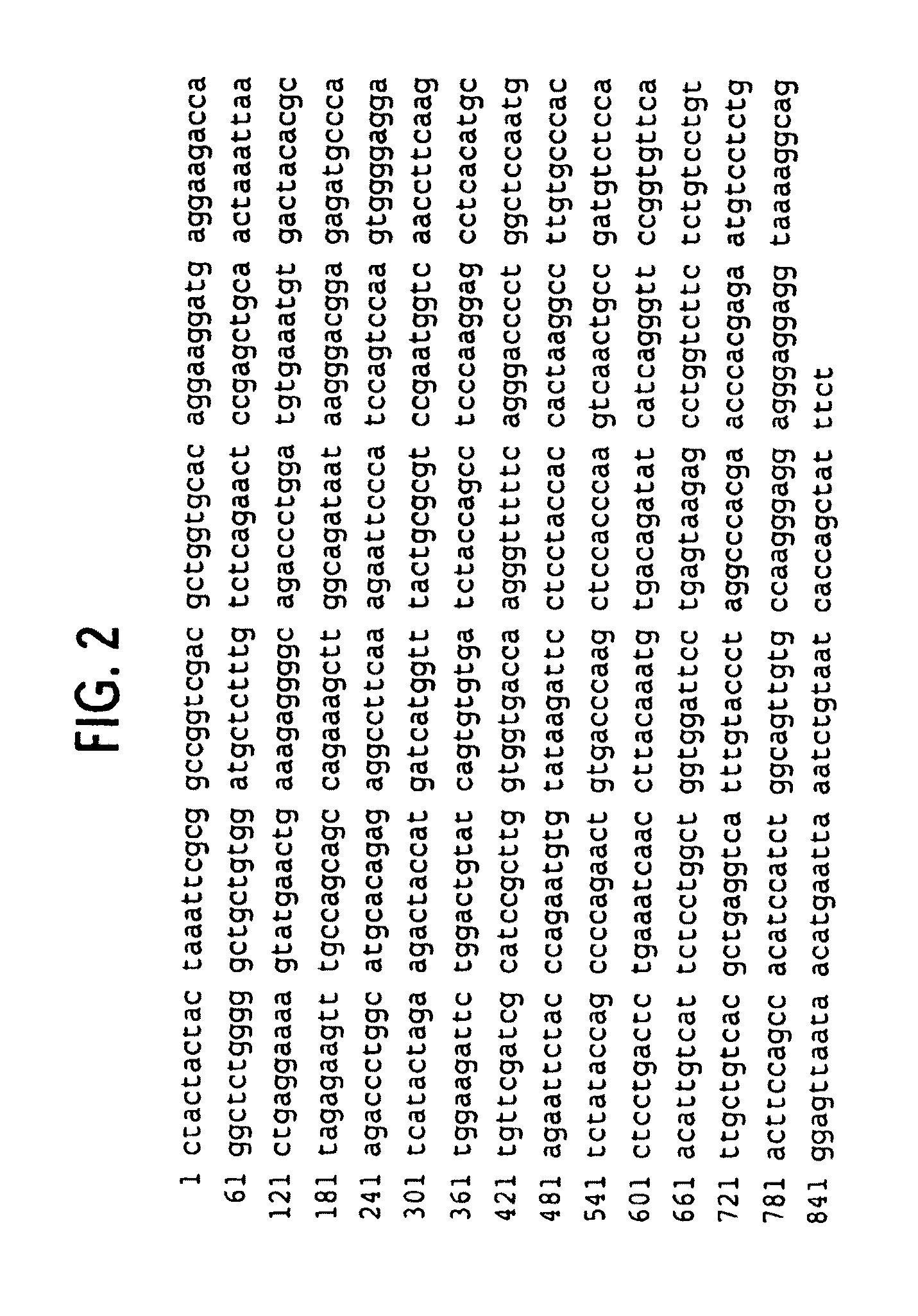 Receptor trem (triggering receptor expressed on myeloid cells) and uses thereof