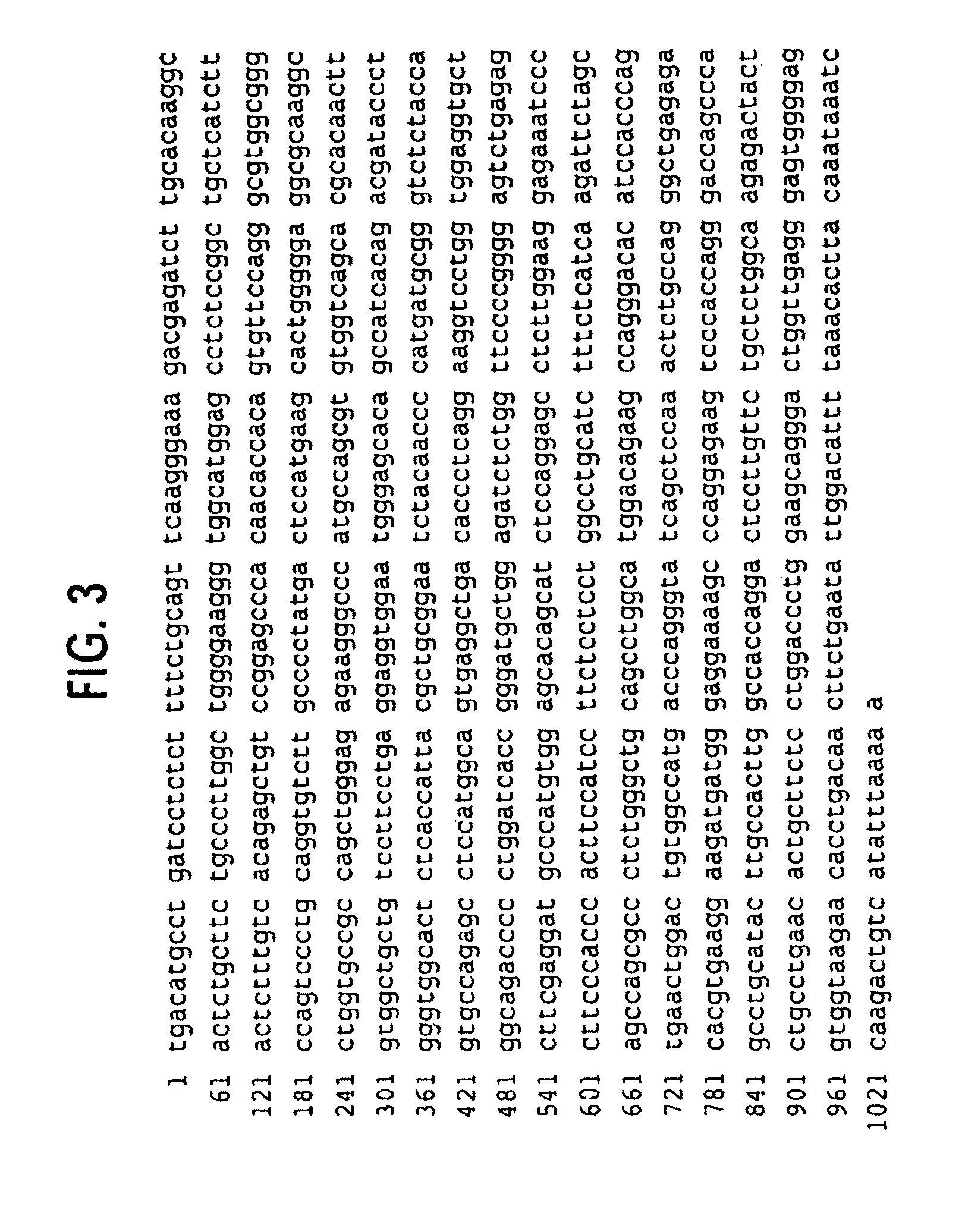 Receptor trem (triggering receptor expressed on myeloid cells) and uses thereof