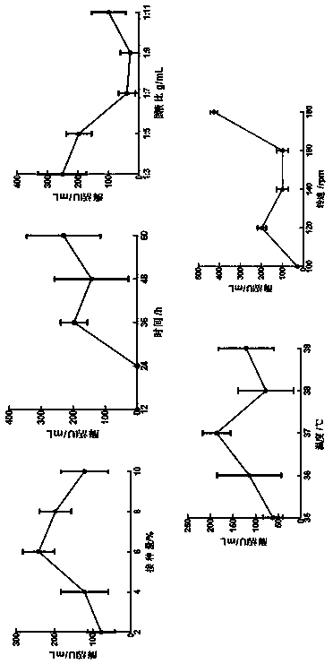 Liquid nattokinase fermentation method