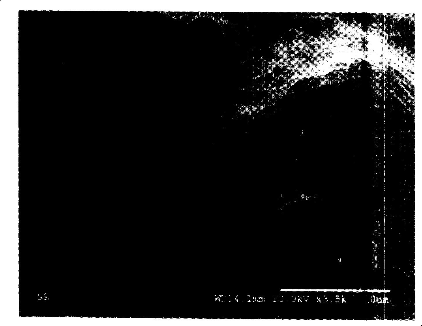 Low molecular weight organic gel and preparation method thereof