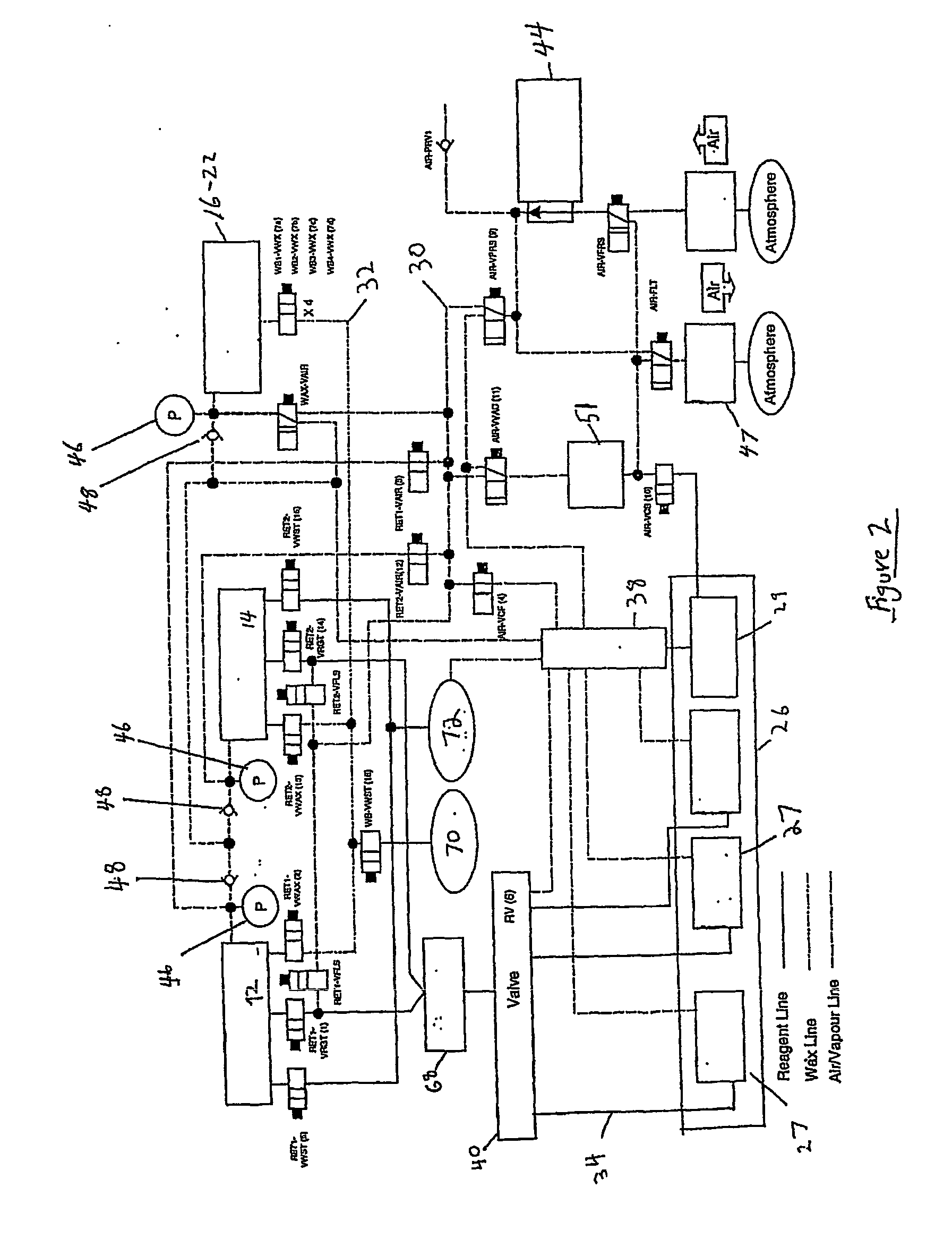System and Method for Histological Tissue Specimen Processing