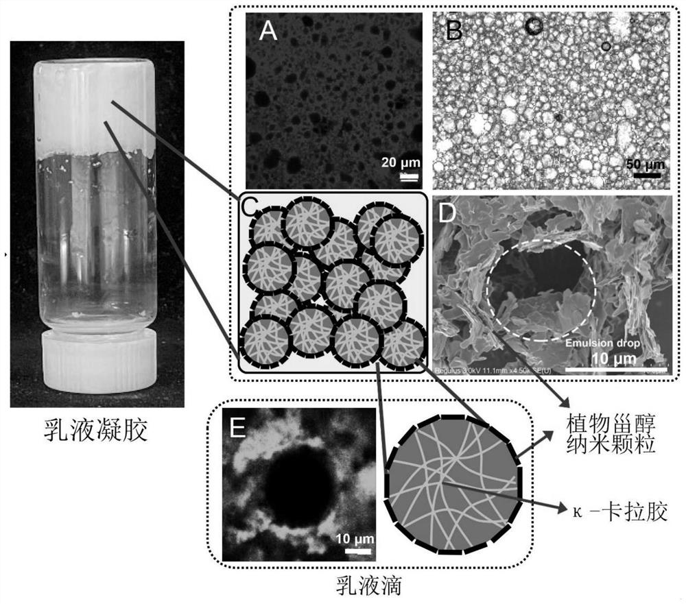 Dual-network zero-trans-fat-like emulsion gel capable of 3D/4D printing and preparation method of dual-network zero-trans-fat-like emulsion gel