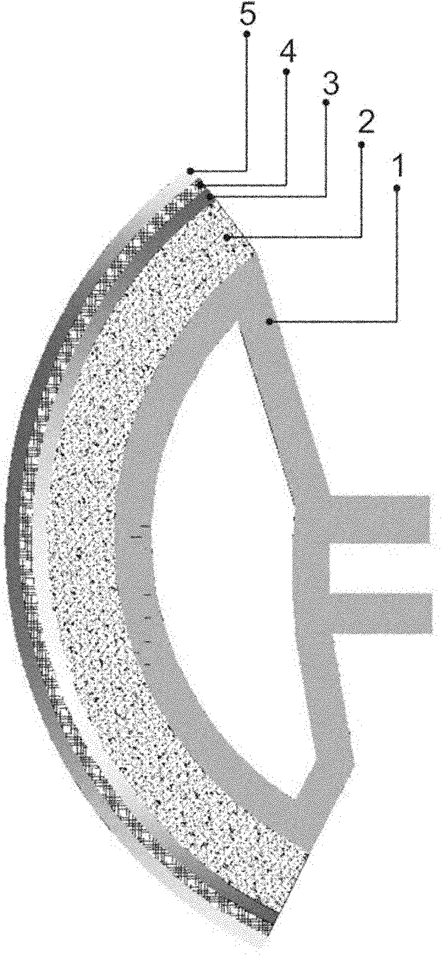 Simulation model, skin thereof and manufacturing method of simulation model