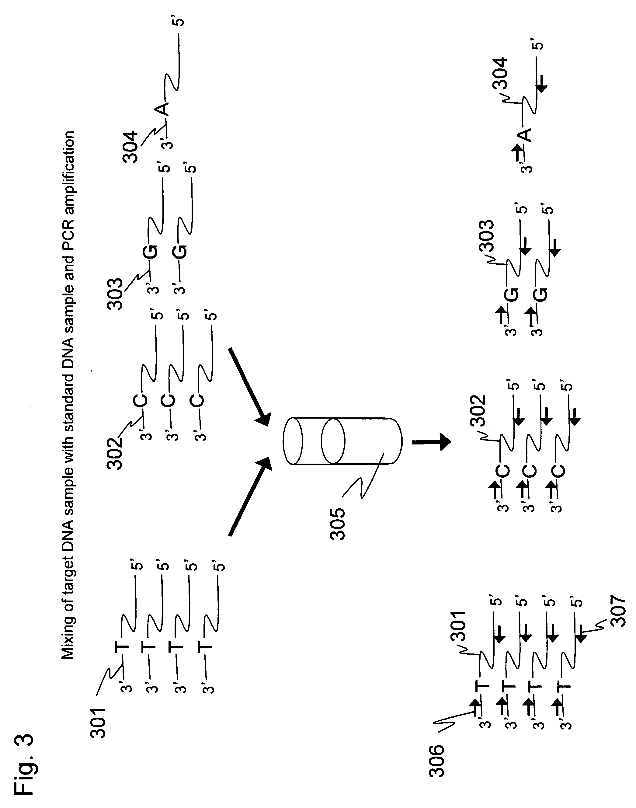 Method for nucleic acid quantitation